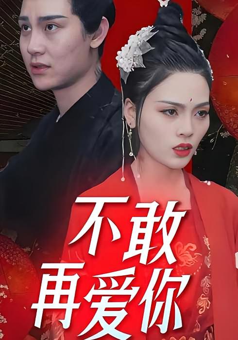 不敢再爱你