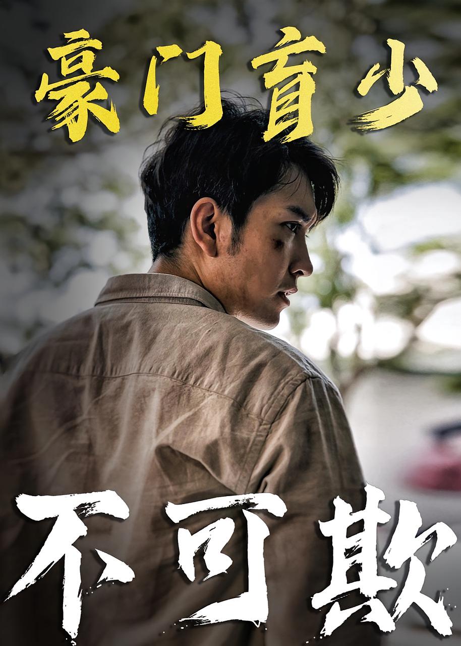 豪门盲少不可欺
