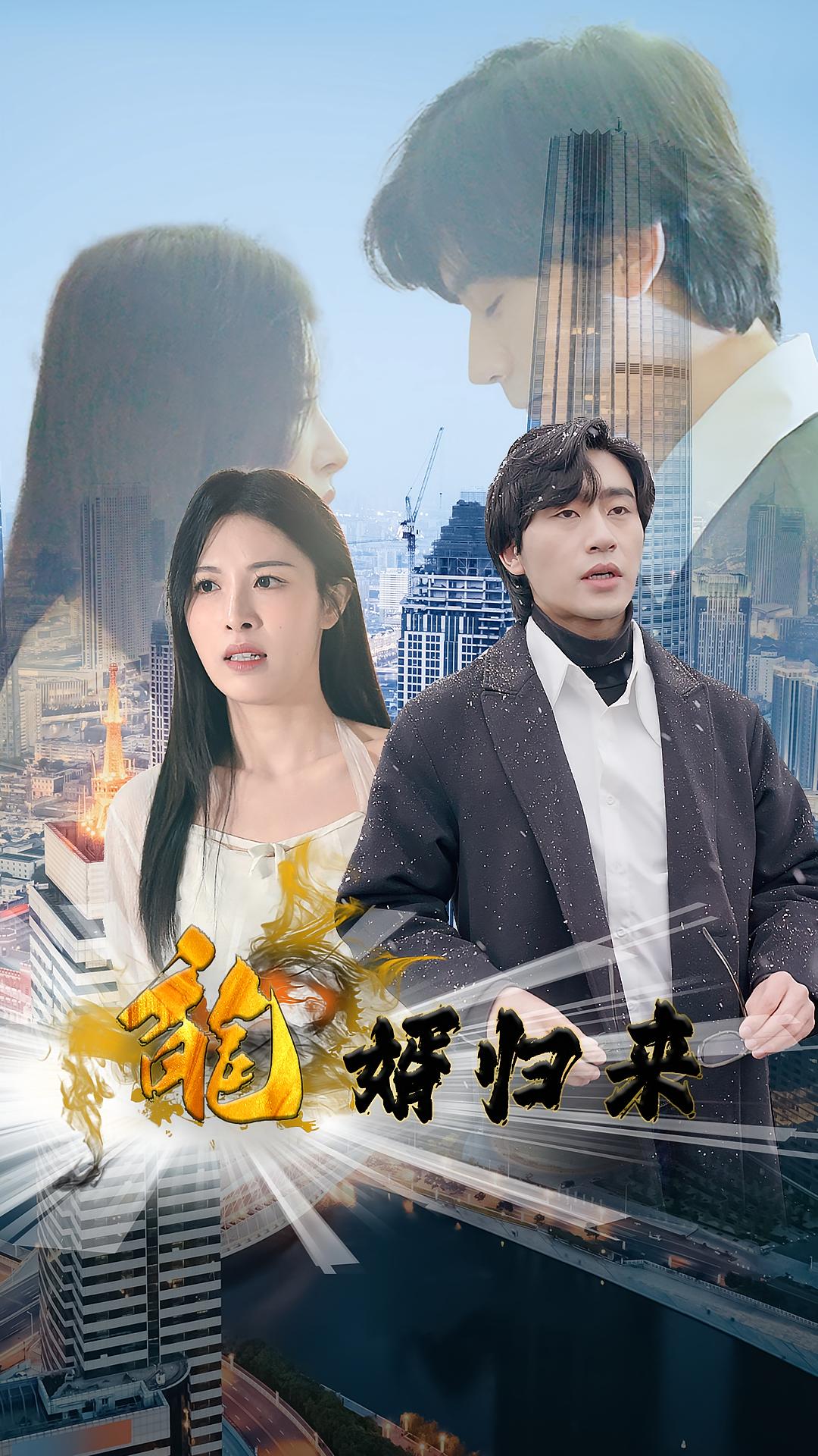 龙婿归来