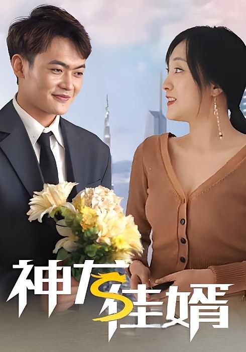 神龙佳婿