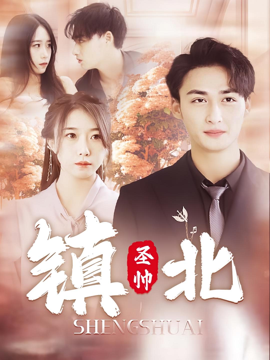 镇北圣帅