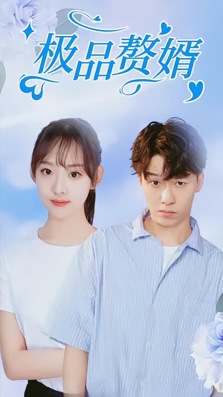 极品赘婿