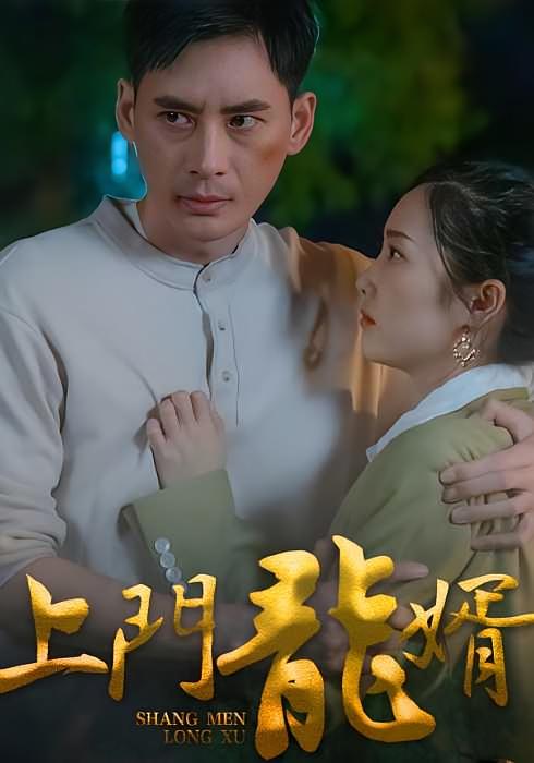 上门龙婿