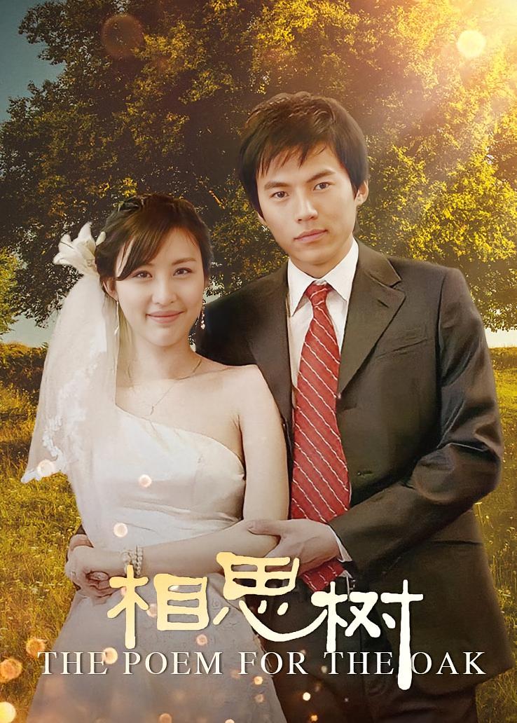 相思树