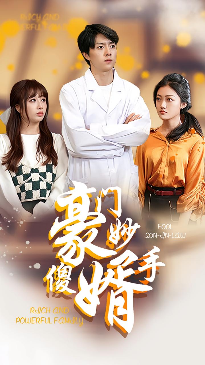 豪门妙手傻婿