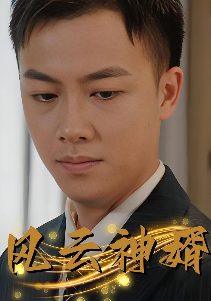 风云神婿