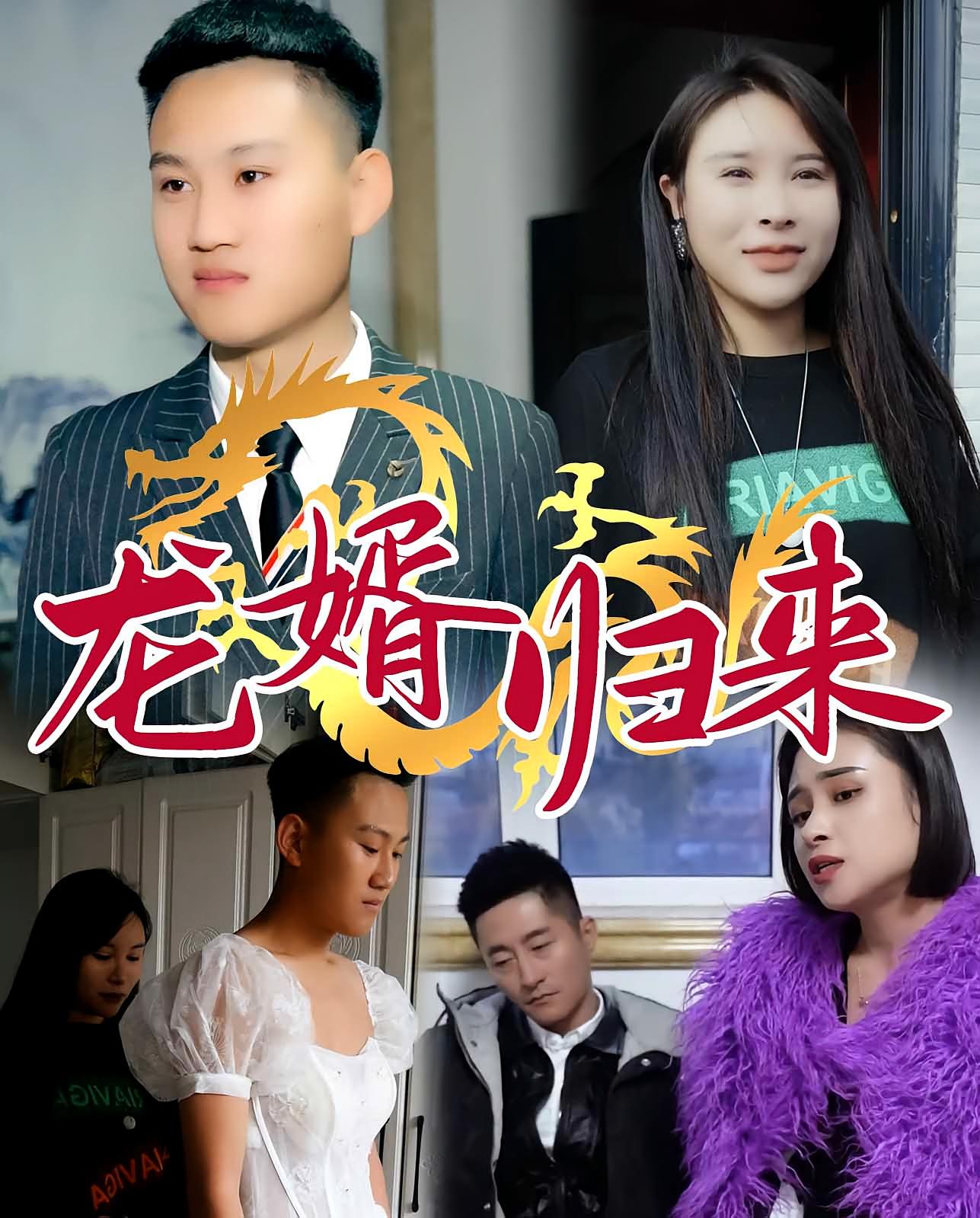龙婿归来