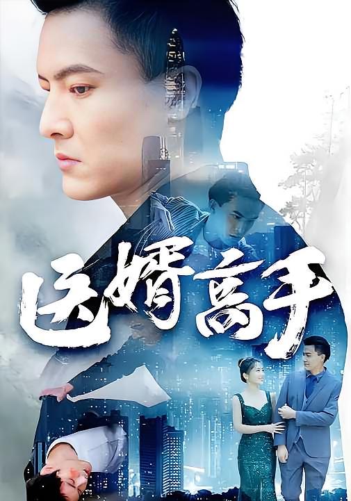 医婿高手