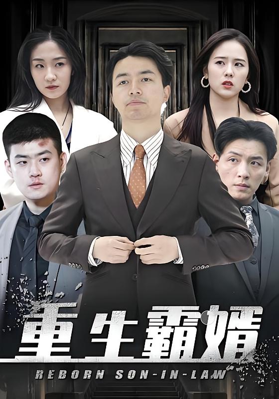 重生霸婿