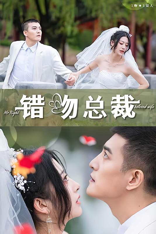 错吻总裁
