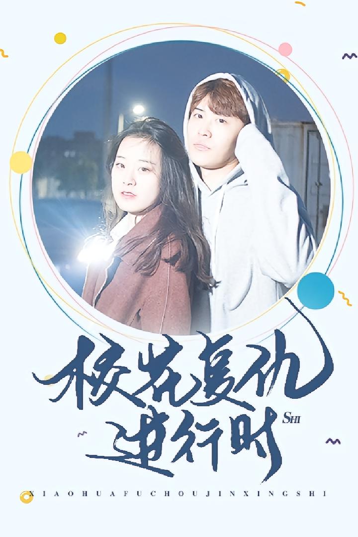 别惹校花
