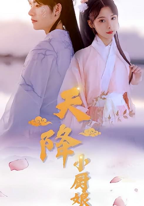 天降小厨娘