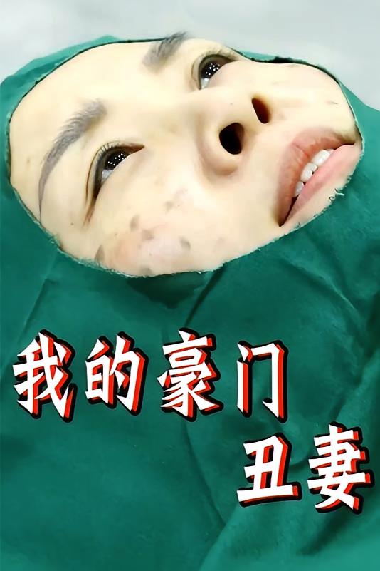 我的豪门丑妻