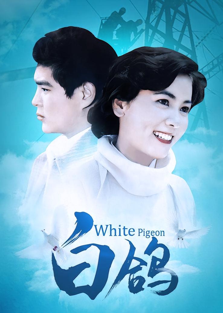白鸽