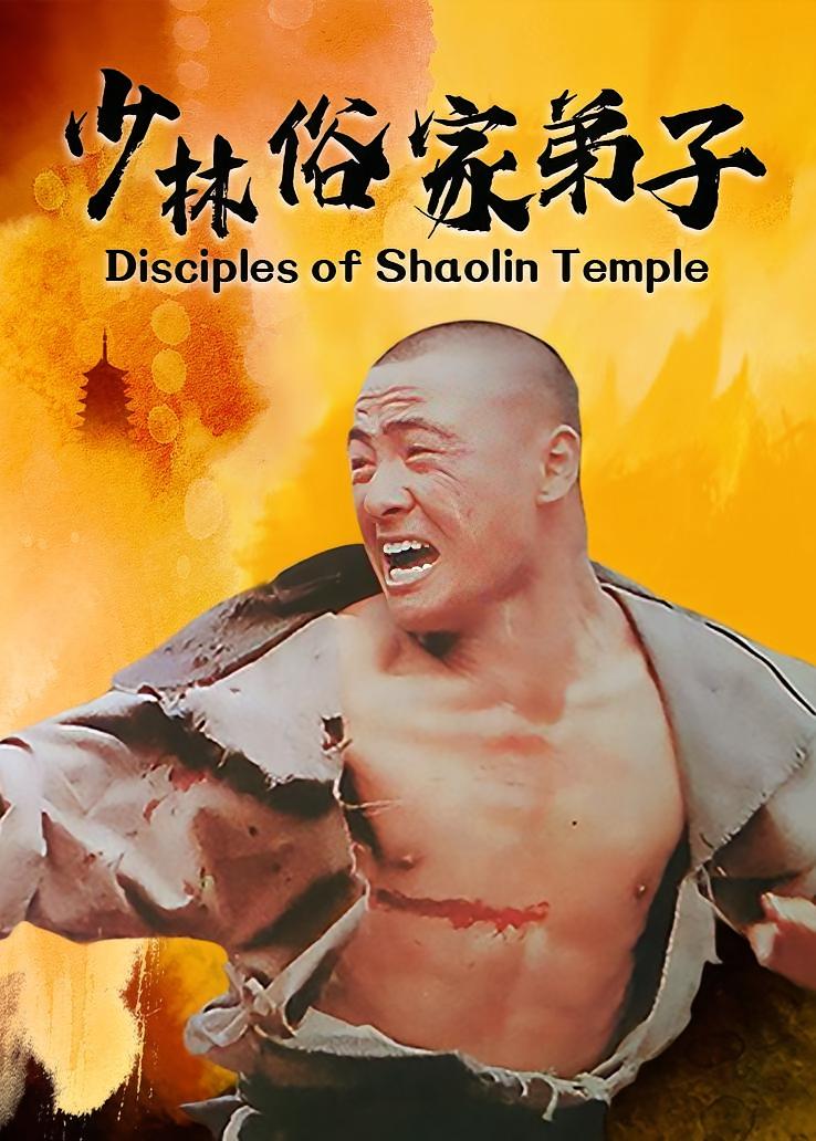少林俗家弟子