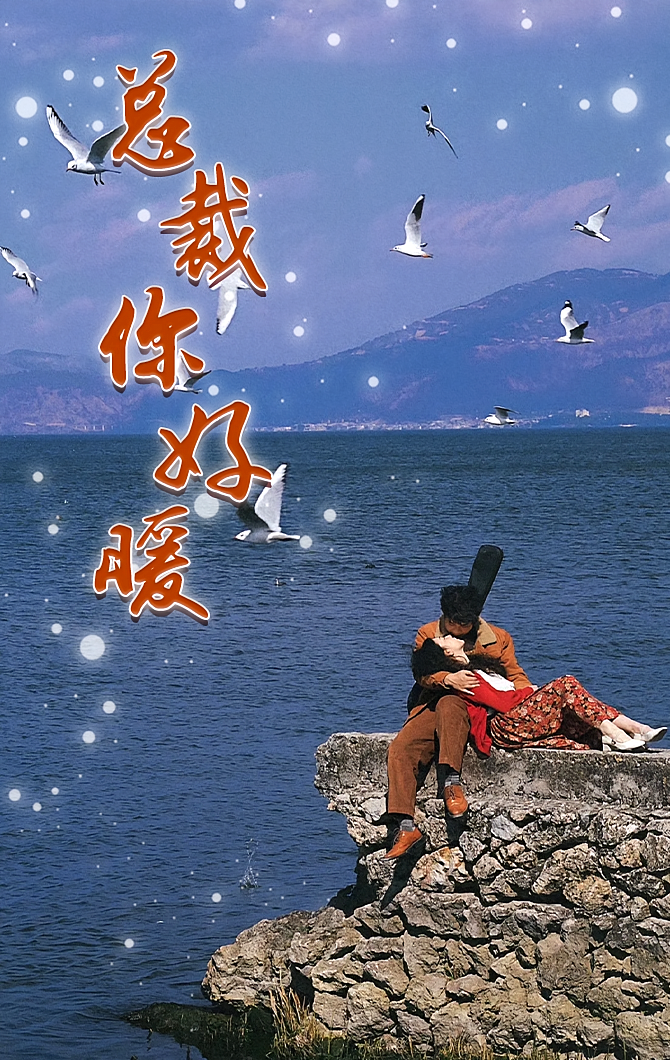 总裁你好暖