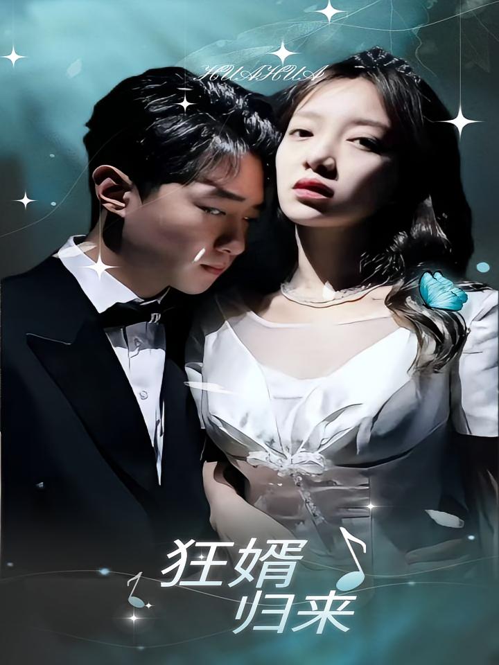 狂婿归来