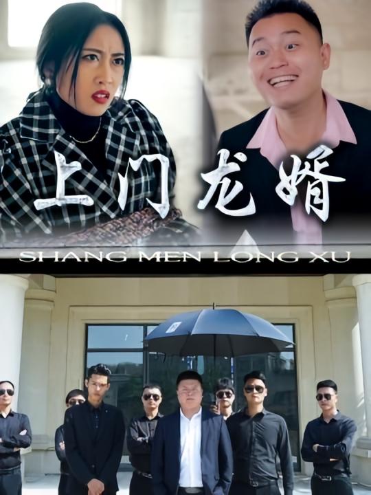 上门龙婿