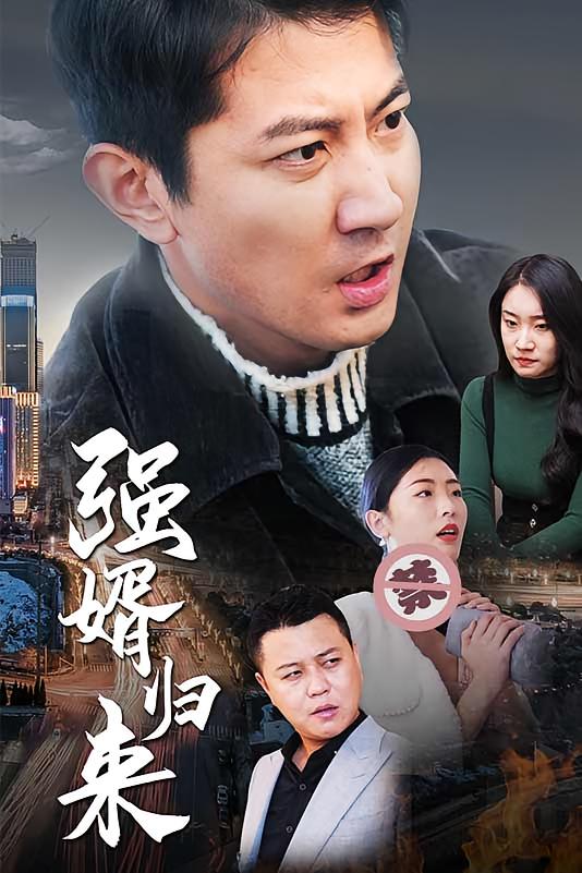 强婿归来