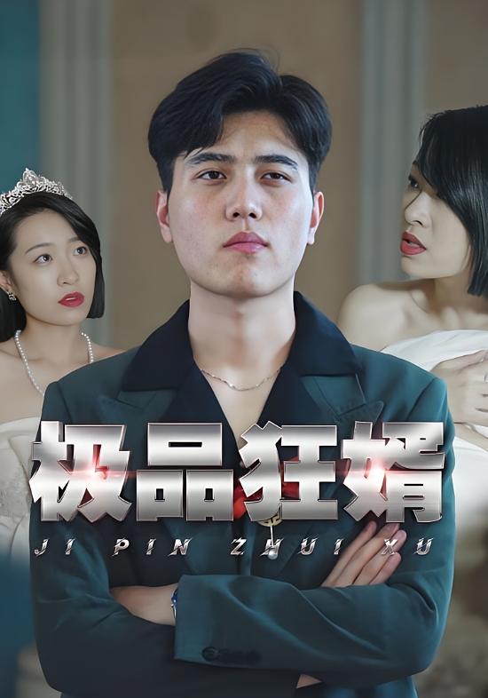 极品狂婿