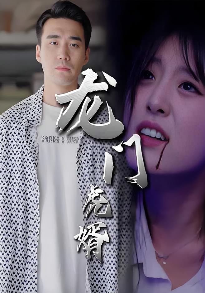 龙门虎婿