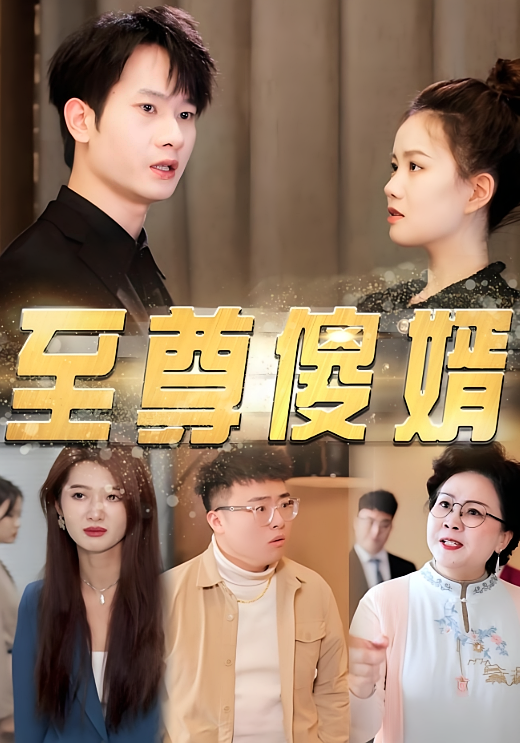 至尊傻婿