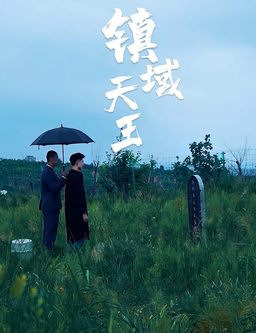 镇域天王