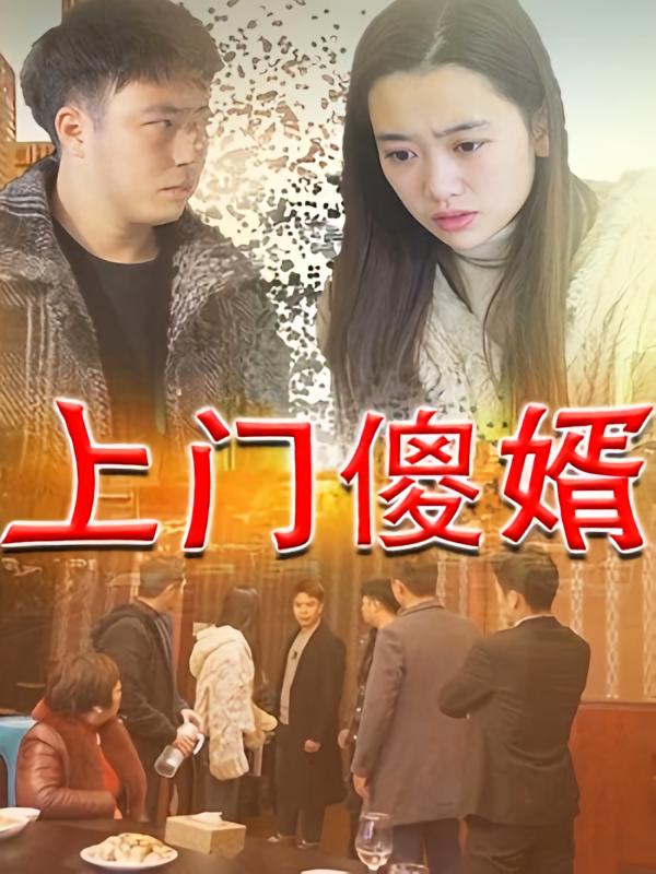 上门傻婿
