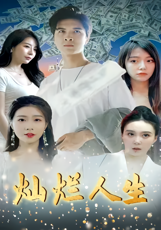 灿烂人生