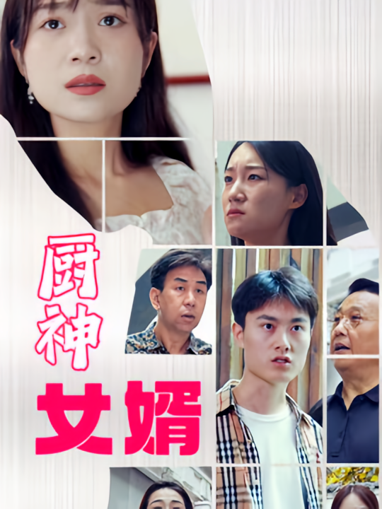 厨神女婿