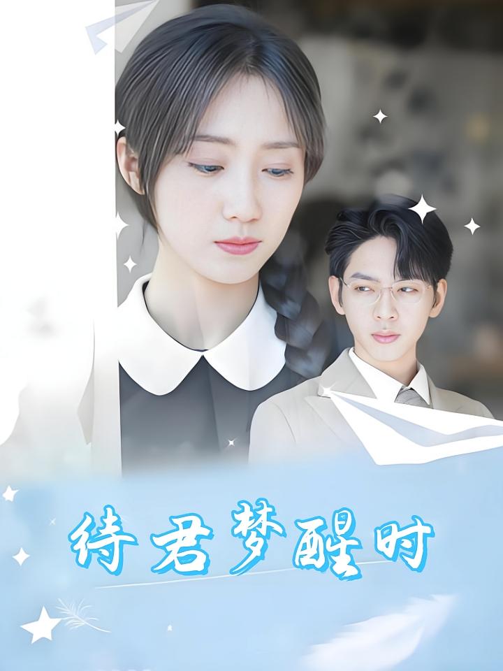 待君梦醒时