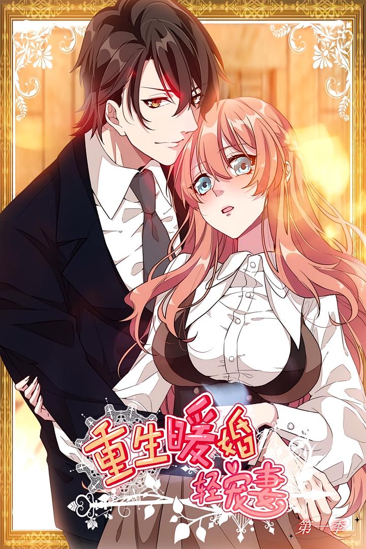 重生暖婚轻宠妻第一季