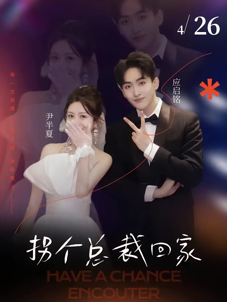 拐个总裁回家