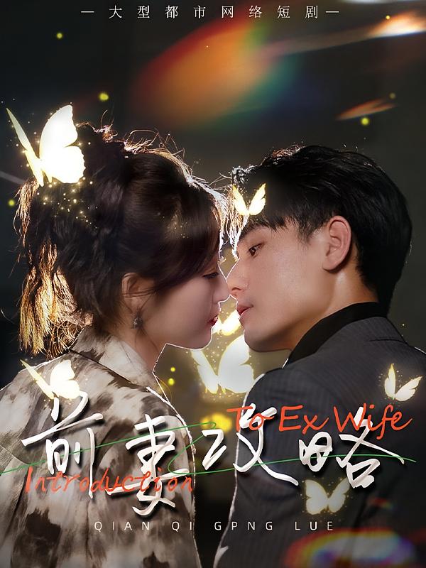 前妻攻略