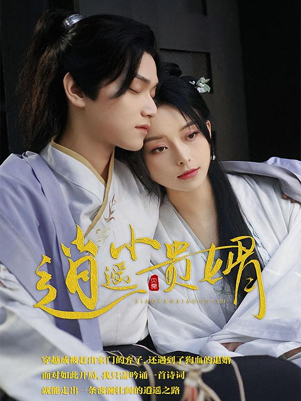 逍遥小贵婿