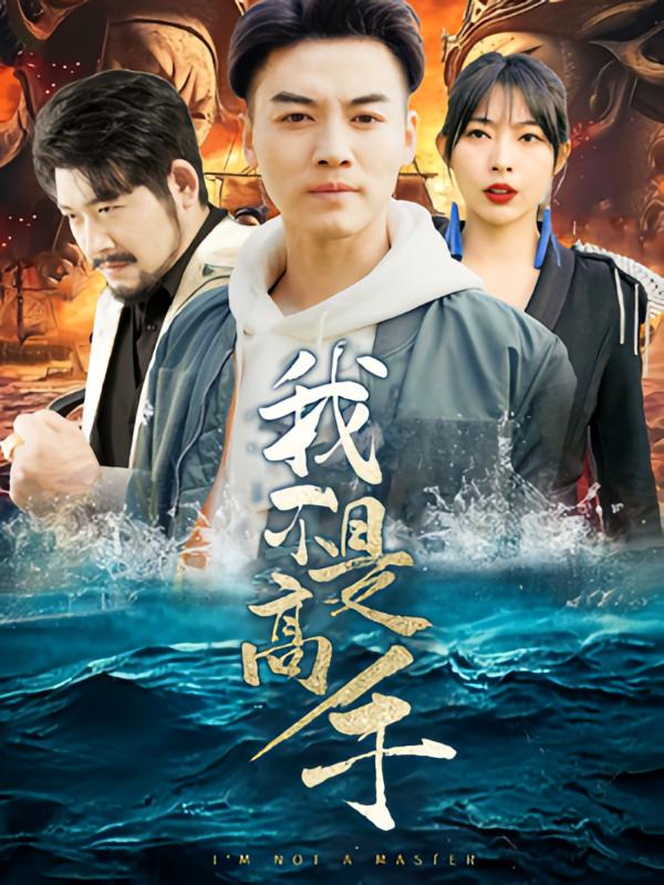 我不是高手