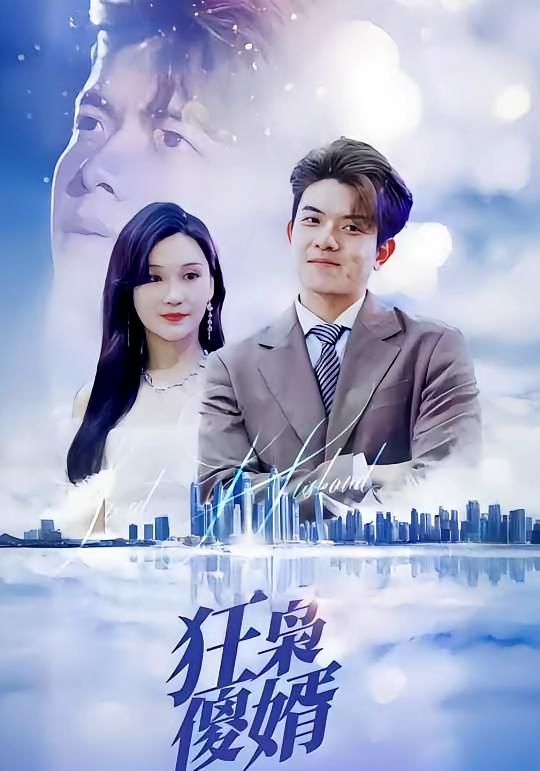狂枭傻婿