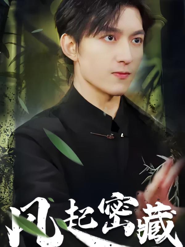 风起密藏
