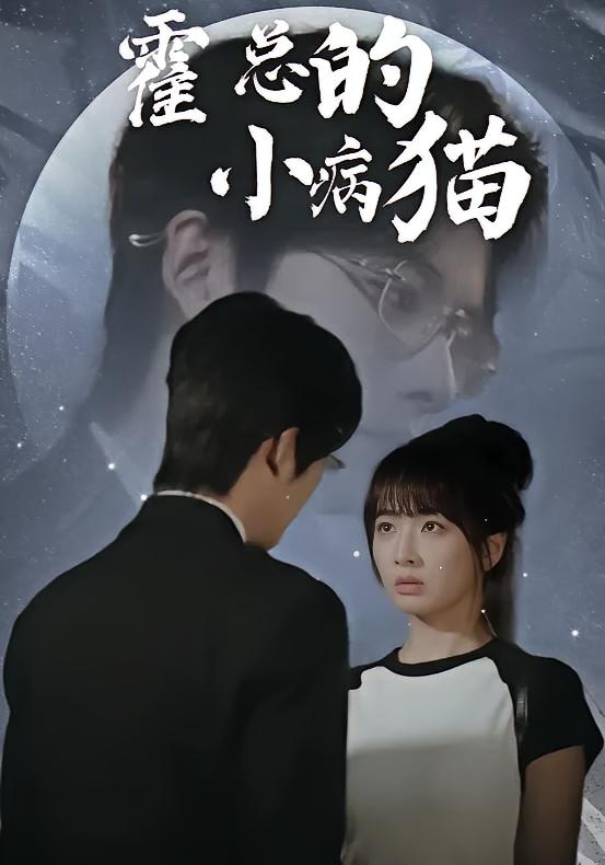 霍总的小病猫