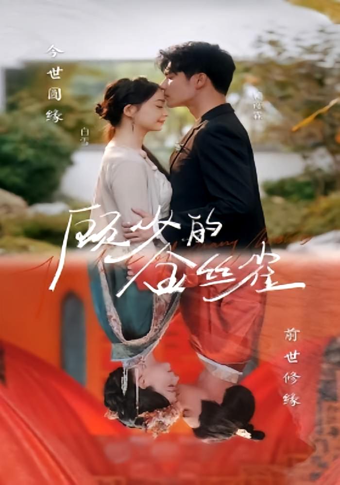 顾少的金丝雀