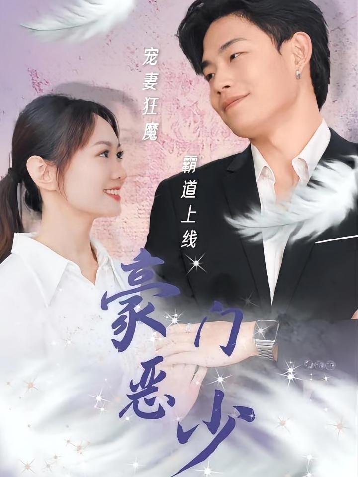 豪门恶少