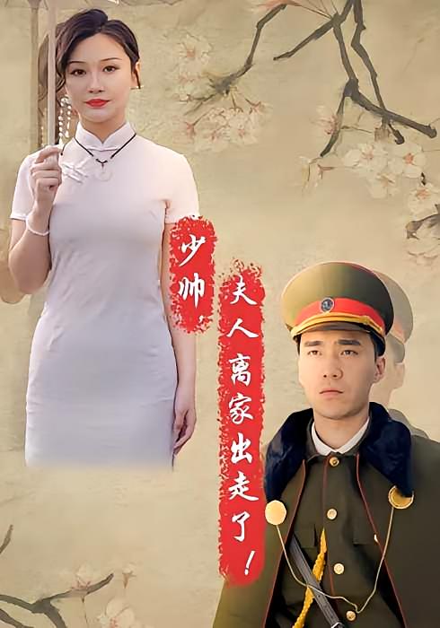 少帅夫人离家出走了