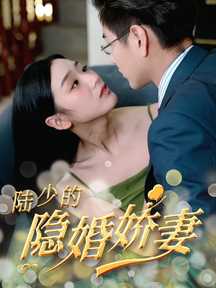 陆少的隐婚娇妻