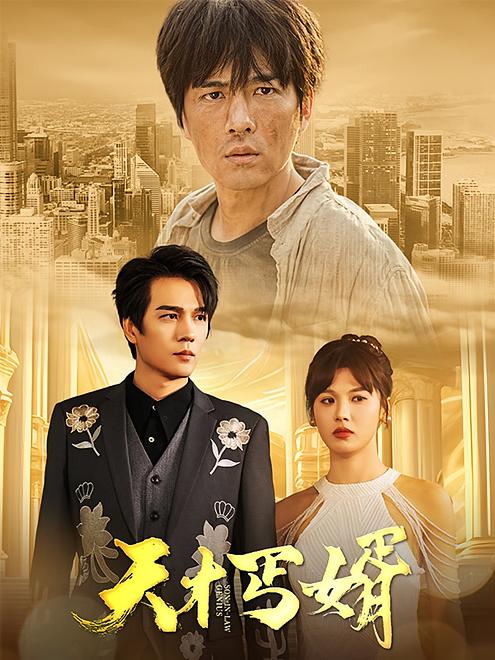 天才丐婿
