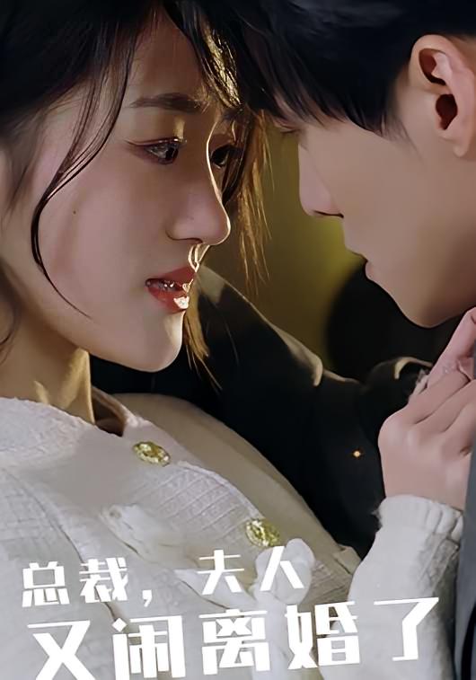 总裁，夫人又闹离婚了