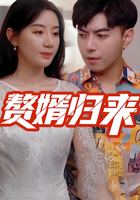 赘婿归来