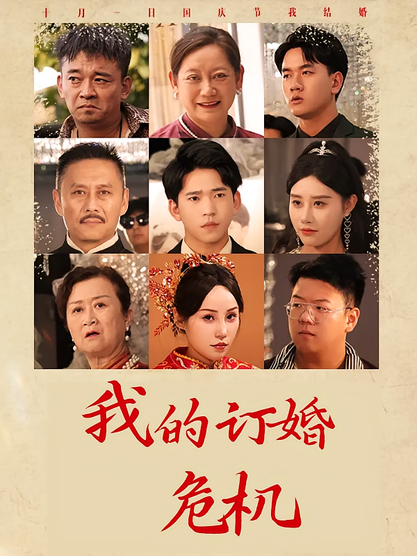 我的订婚危机