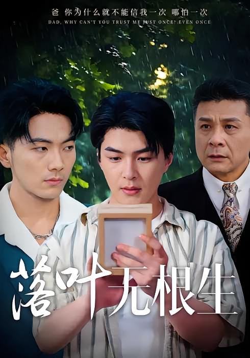 落叶无根生