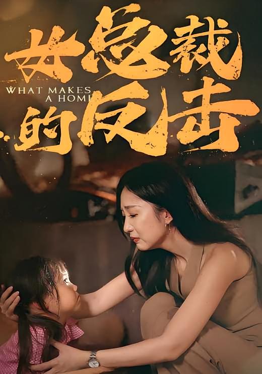 女总裁的反击