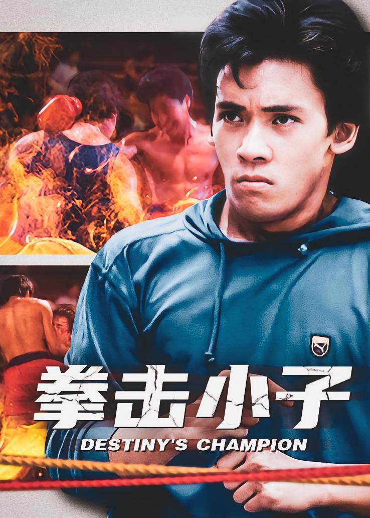拳击小子